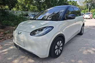 五菱汽车 五菱缤果 2023款 410km 灵犀尊享款