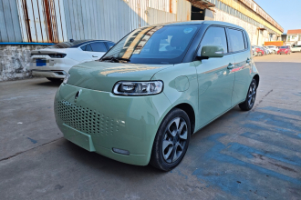 欧拉白猫 2020款 305km 豪华型