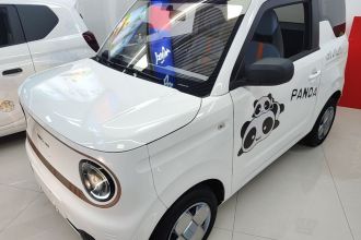 吉利银河 2023款 熊猫mini 200km 耐力熊