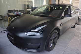 特斯拉 Model 3(进口) 2019款 长续航全轮驱动版