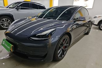 特斯拉 Model 3 2021款 改款 Performance高性能全轮驱动版 3D1