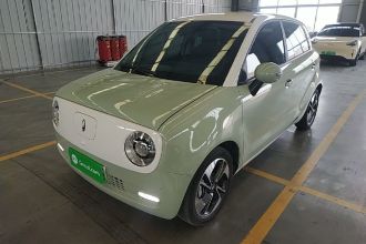 欧拉黑猫 2022款 351km 舒适型 三元锂