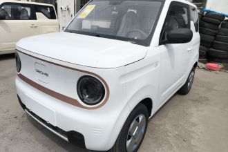 吉利银河 2024款 熊猫mini 200km 耐力熊