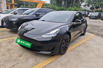 特斯拉 Model 3 2020款 标准续航后驱升级版