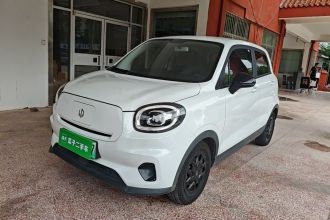 零跑汽车 零跑T03 2023款 310轻享版