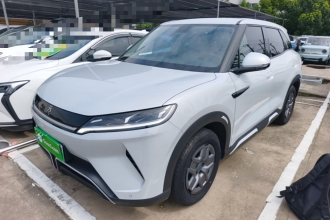 比亚迪 元UP 2024款  401KM 活力版