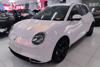 欧拉好猫 2024款 401km 豪华型