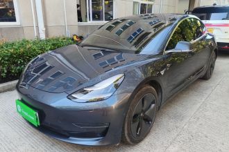 特斯拉 Model 3(进口) 2019款 长续航后驱版