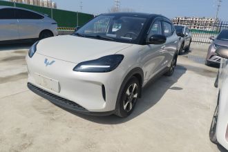 五菱汽车 五菱缤果PLUS 2024款 330km 五座版