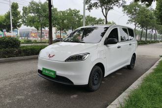 五菱汽车 五菱宏光新能源 2024款 纯电版 300KM 标准型