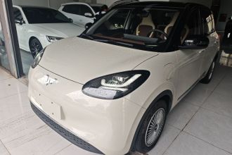 五菱汽车 五菱缤果 2023款 410km 灵犀尊享款