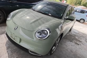 欧拉好猫 2022款 400km标准续航 尊贵型 磷酸铁锂