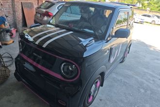 吉利银河 2024款 200km 熊猫卡丁