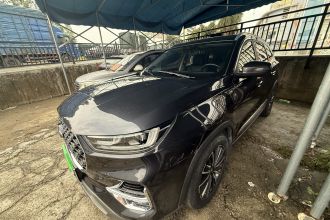 奇瑞 瑞虎8 PLUS 2021款 290TGDI DCT豪情版