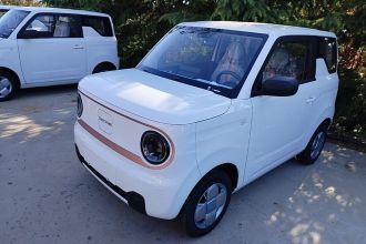吉利银河 2024款 熊猫mini 200km 耐力熊