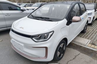 江淮钇为 钇为花仙子 2024款 挚爱版 301km Lite