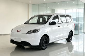 五菱汽车 五菱宏光新能源 2024款 纯电版 300KM 实用型