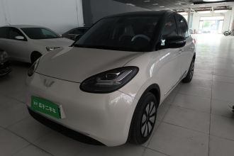 五菱汽车 五菱缤果 2023款 203km 舒享款