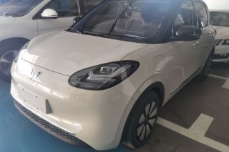 五菱汽车 五菱缤果 2024款 333km 悦享款