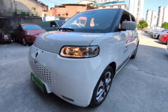 欧拉白猫 2020款 305km 豪华型