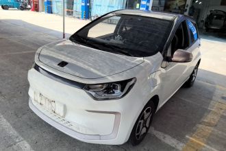 思皓 花仙子 2021款 302km 豪华型 31.4kWh
