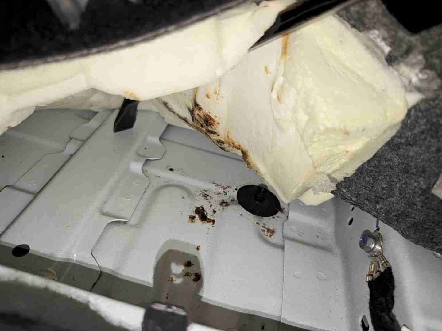 左前地毯浸水痕迹实拍