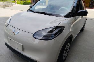 五菱汽车 五菱缤果 2024款 333km 灵犀互联款