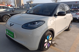 五菱汽车 五菱缤果 2024款 333km 悦享款