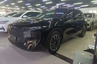 启辰大V 2022款 260T 黑马版·爱豆