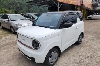 吉利银河 2024款 熊猫mini 200km 耐力熊