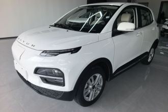 大运 悦虎 2022款 300 豪华版
