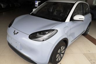 五菱汽车 五菱缤果 2023款 410km 灵犀尊享款