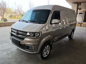 金杯 新海狮S 2022款 1.5L财富版无空调货车国VI SWC15M