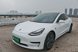 特斯拉 Model 3(进口) 2019款 标准续航后驱升级版
