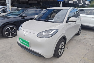 五菱汽车 五菱缤果 2024款 333km 悦享款