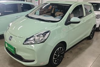 长安 奔奔E-Star 2021款 国民版 多彩款 磷酸铁锂（31.86kWh）