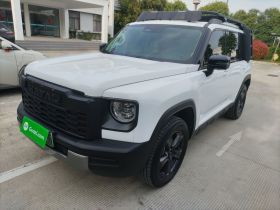 哈弗猛龙新能源 2023款 Hi4 145 探索版