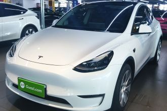特斯拉 Model Y 2021款 长续航全轮驱动版