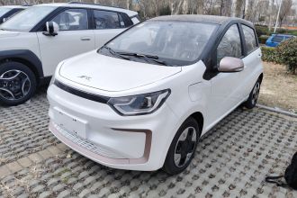 江淮钇为 钇为花仙子 2024款 挚爱版 301km Lite