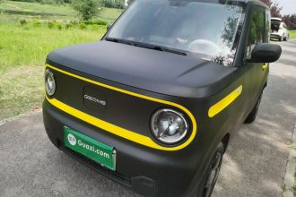 吉利银河 2023款 熊猫mini 200km 耐力熊
