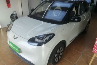 五菱汽车 五菱缤果 2023款 333km 灵犀互联+款