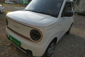 吉利银河 2024款 熊猫mini 200km 耐力熊