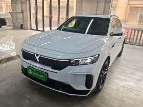岚图汽车 岚图FREE 2025款 318 318km 后驱环游版
