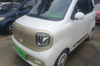 奔腾小马 2024款 170km 元气马