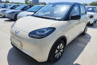 五菱汽车 五菱缤果 2025款 333km 悦享款