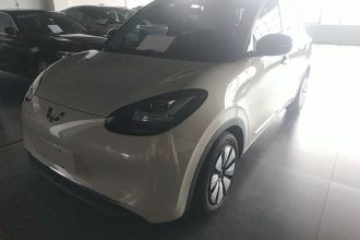 五菱汽车 五菱缤果 2023款 410km 灵犀尊享款
