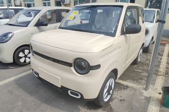 吉利银河 2025款 熊猫mini 210km 元气熊
