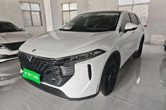 启辰大V 2021款 260T 爱豆版
