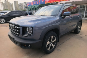 哈弗大狗 2021款 1.5T DCT两驱拉布拉多版