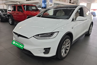 特斯拉 Model X 2020款 长续航升级版